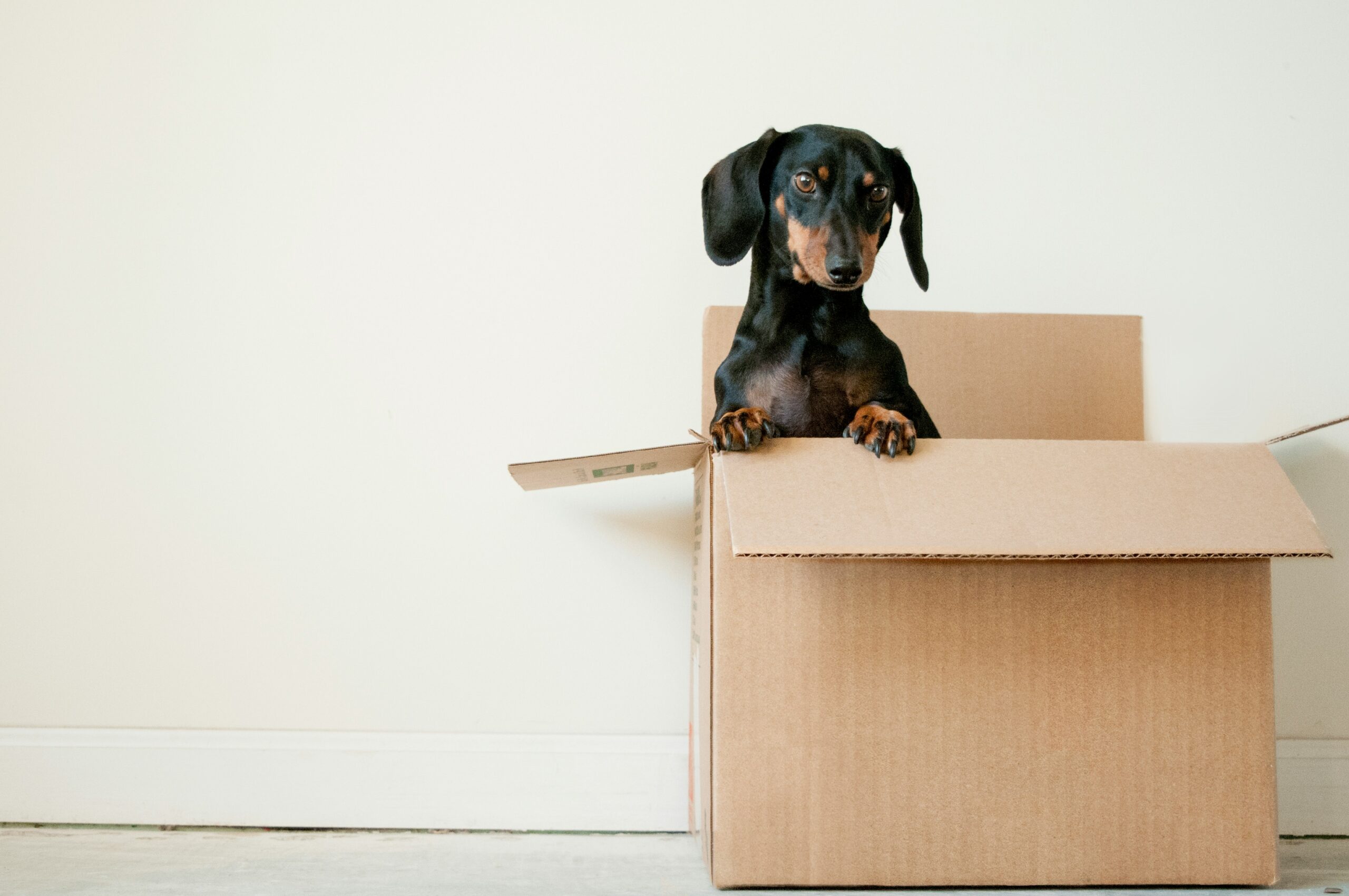 Moving Out During Divorce: How to Do It Safely, Calmly, and Without Forgetting Your Toothbrush